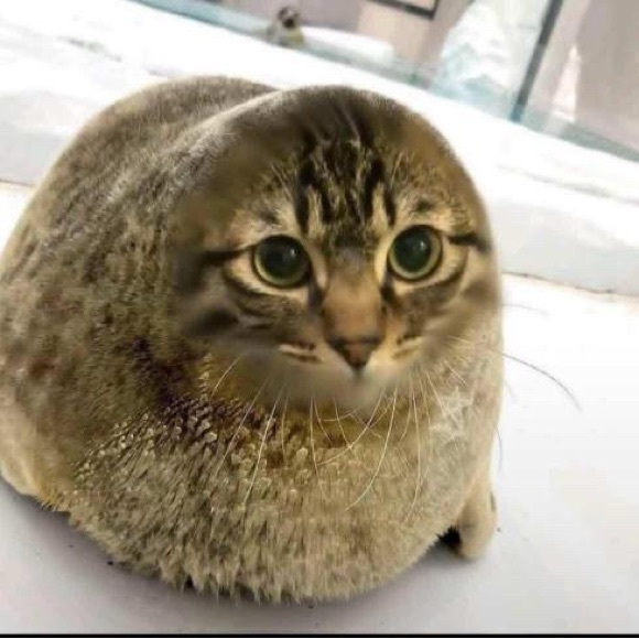 kevinlilnya